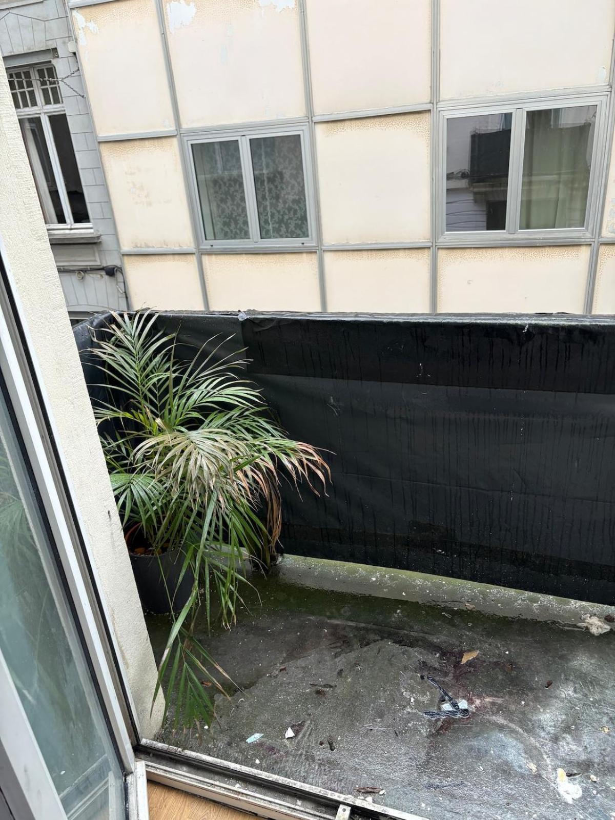 Your Haven Of Peace! Appartement *